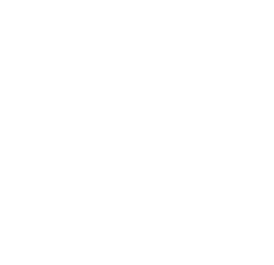 Advanced Level Auto Sports Logo